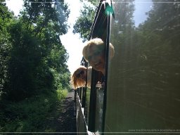 Eisenbahnfahrt 29.08.2015